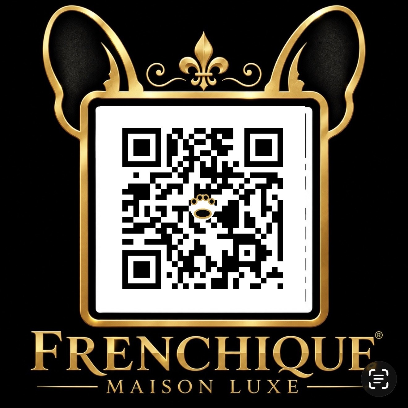 Frenchique — Maison Luxe, French Bulldogs in Elizabeth City, North Carolina